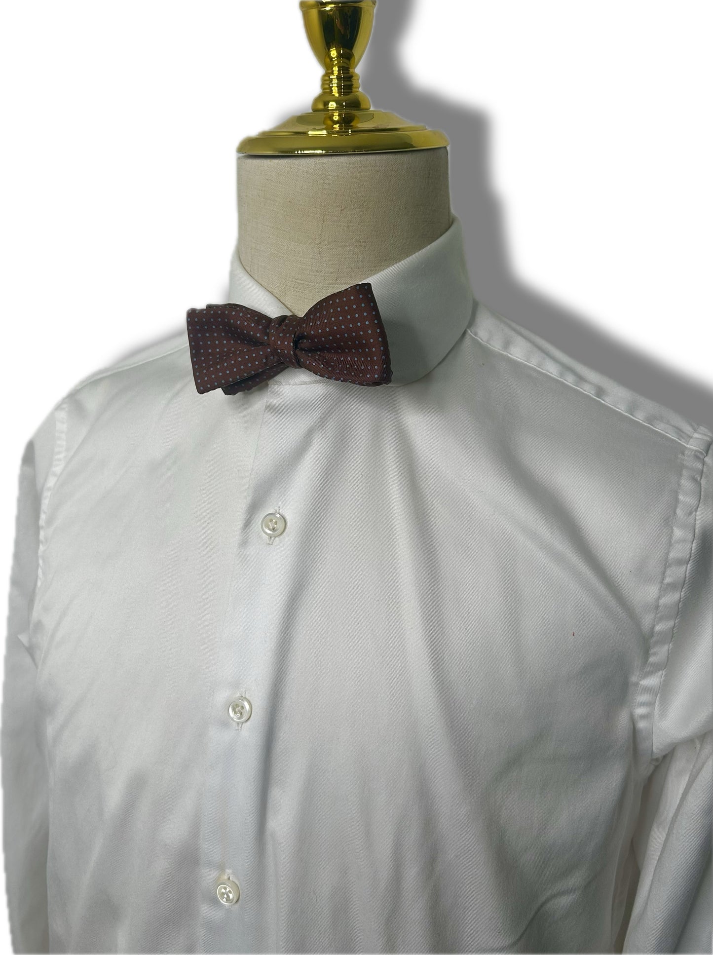 Brown w/ Blue Dot Bowtie