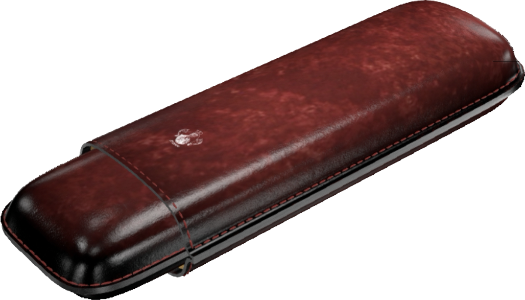 Double Cigar Case