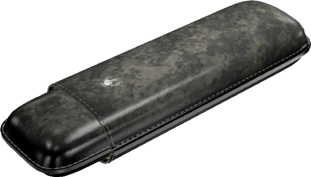 Double Cigar Case