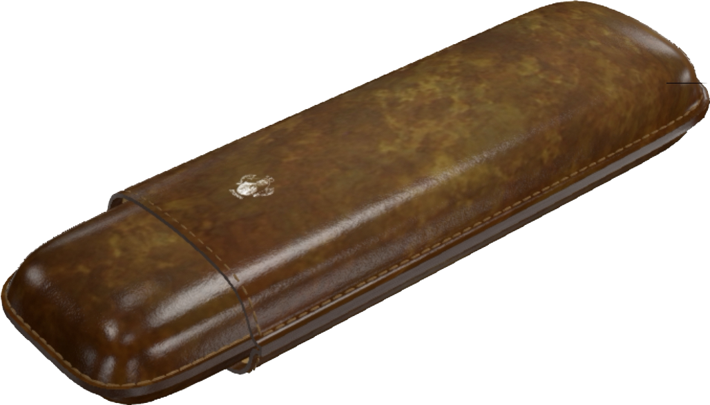 Double Cigar Case