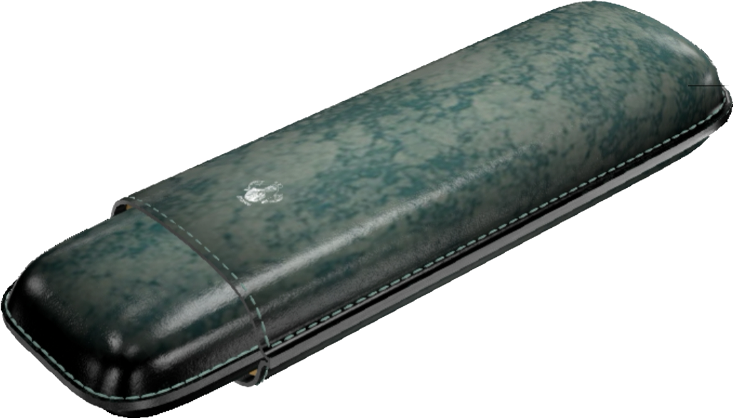 Double Cigar Case