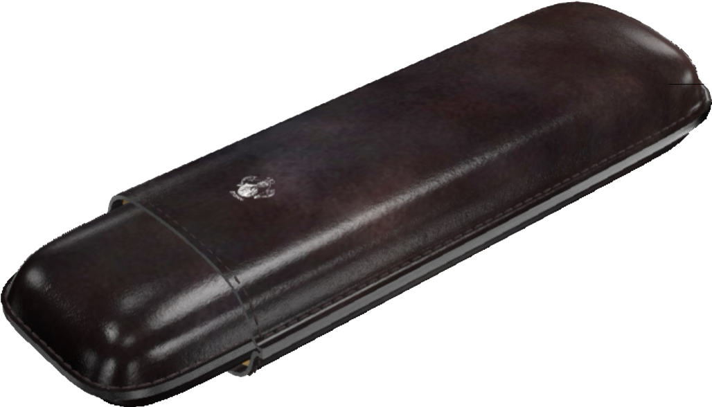 Double Cigar Case