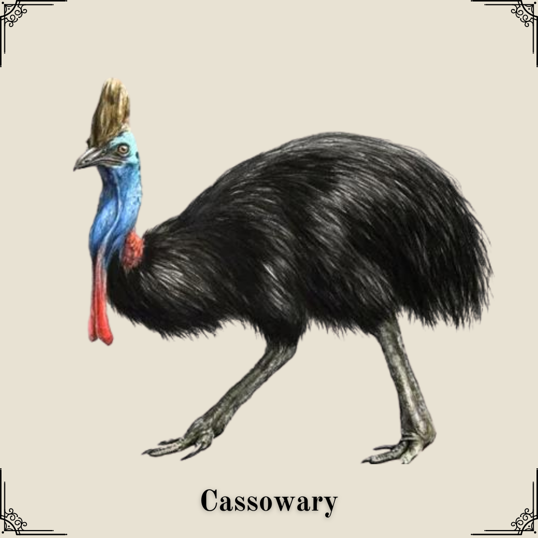 Cassowary Tie