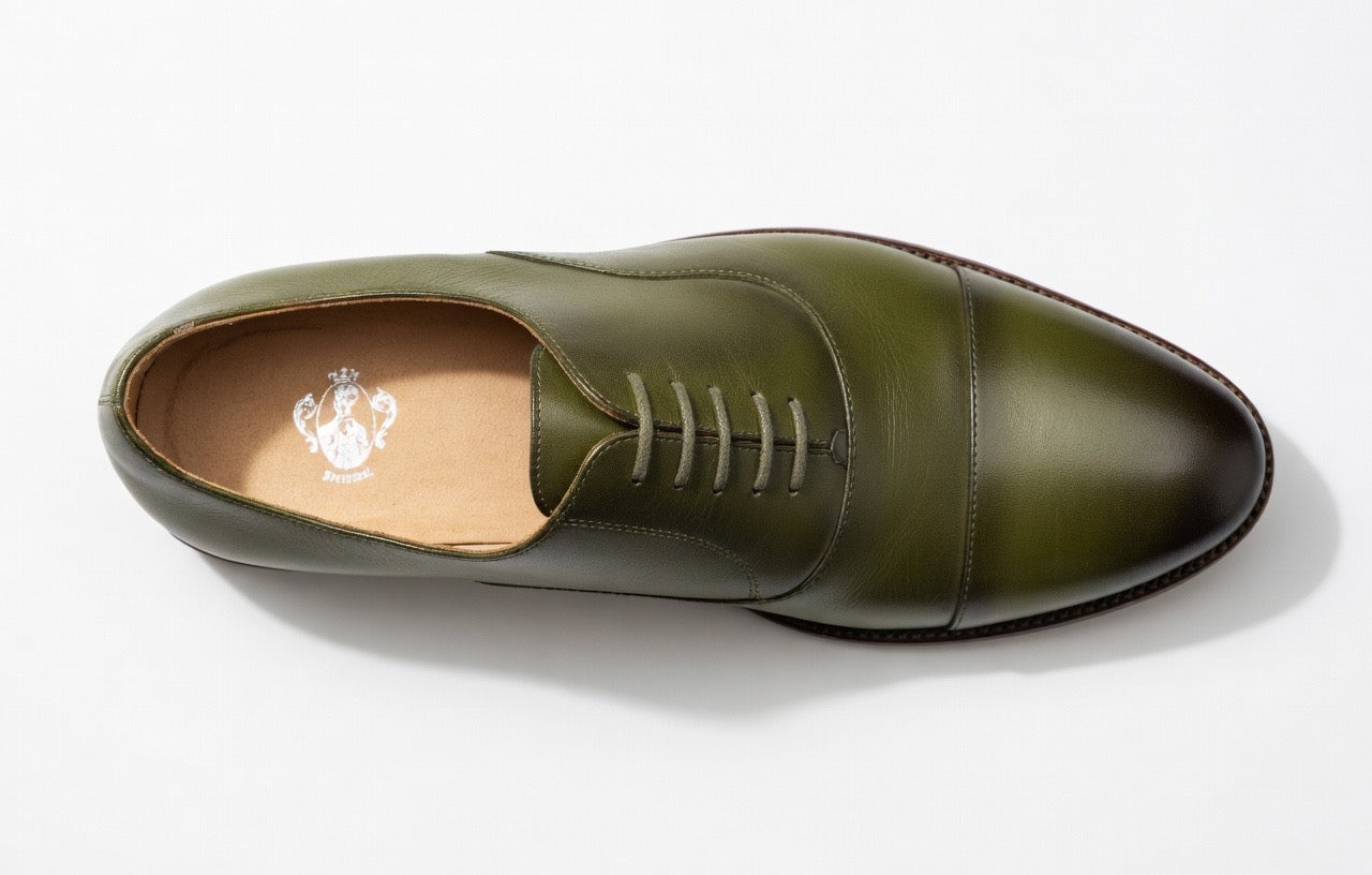 Rainsford (Olive)
